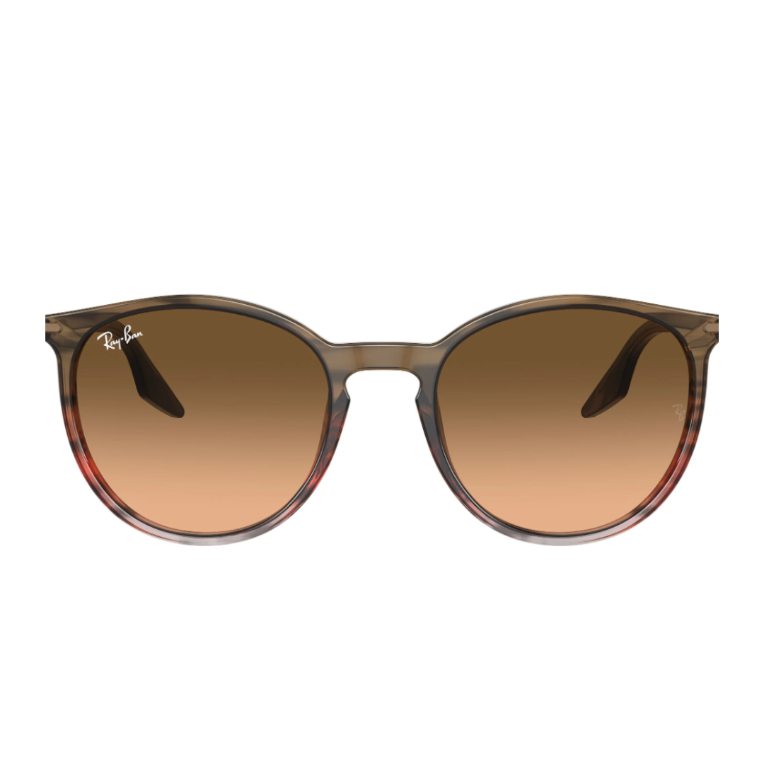 RayBan RB2204 13953B